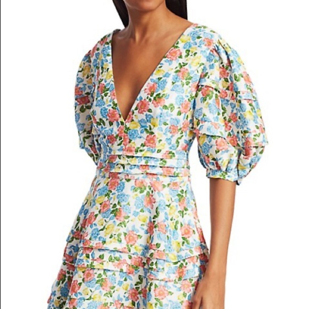 Amur Avian Floral Mini Dress